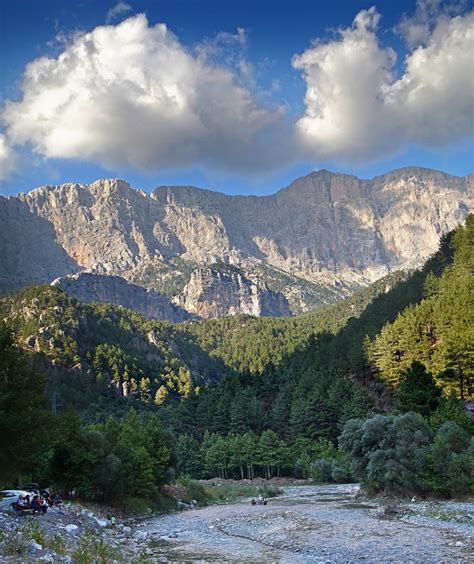 Belemedik Halı ve Koltuk Yıkama
