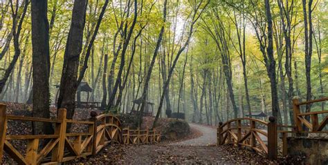 Belgrad Ormanı İstanbul'u Sevmek İçin Bir Neden Daha.