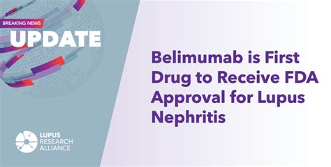 Belimumab lupus nephritis fda. .  <a href=https://my.soulquest.app/assets/image...