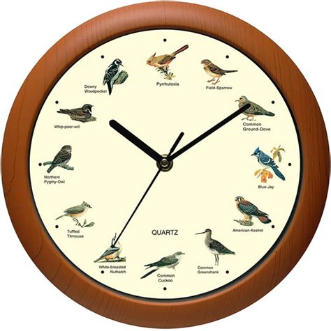 Belinlen Singing Bird Wall Clock 12 Inch of The Bird Names and Songs …