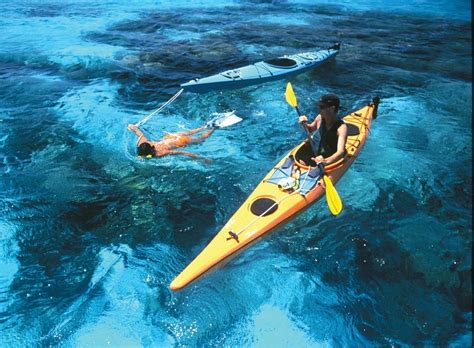 Belize by kayak a guide for sea kayaking in belize. - Manual em portugues da mini dv.