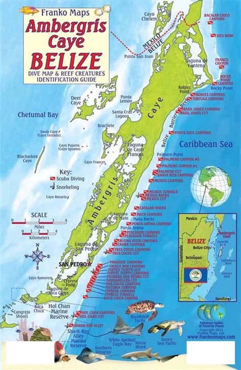 Belize islands guide guide to ambergris caye caye caulker and the offshore cayes and atolls of belize. - By nigel foster guide to sea kayaking in southern florida.