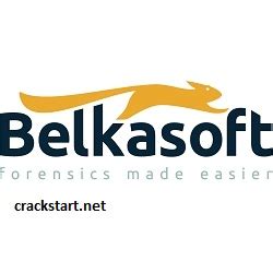 Belkasoft Evidence Center 2023 V9.9.4662 With Crack 