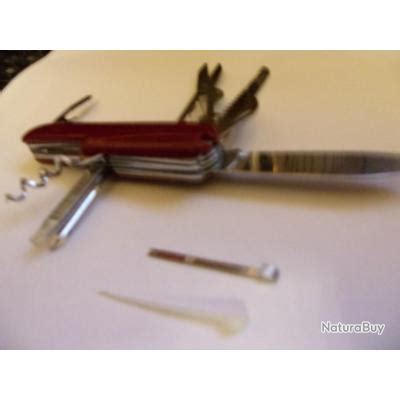 Bell 9948929 Onlyfans Leak (SEX) 😈 129 Pics