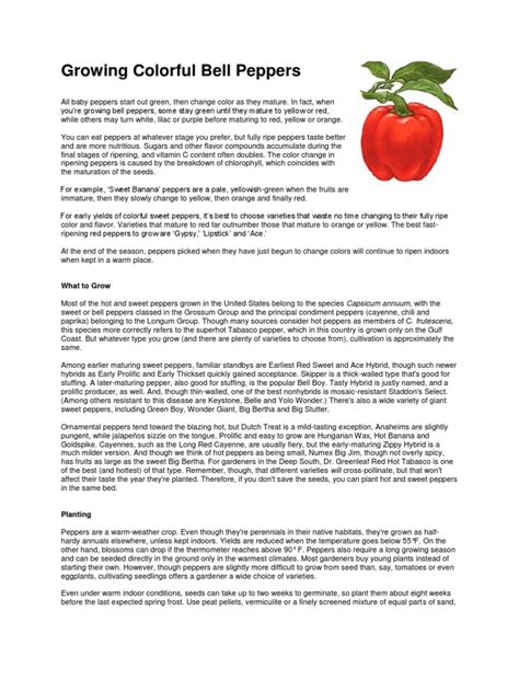 Bell Pepper PDF - Scribd