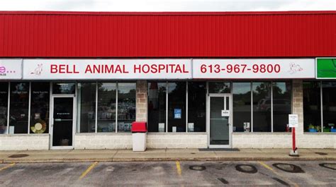 Belleville animal clinic. 360 Bell Blvd. Belleville, Ontario, K8P 5H8 Phone: 613 966 2519 Fax: 613 966 5286 Email: Info@LVHcares.ca 