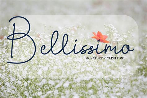 Bellissimo bellissimo. Bellissimo is the absolute superlative of bello, a masculine adjective that can translate in numerous ways including beautiful, handsome, nice, lovely, and fine. The Meaning of BELLISSIMO. Learn more. The suffix -issimo simply intensifies the meaning of an adjective, much like the English adverb very. 