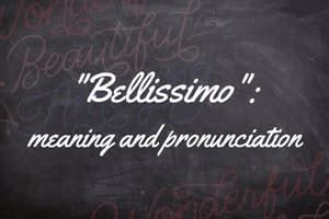 Bellissimo meaning. Things To Know About Bellissimo meaning. 