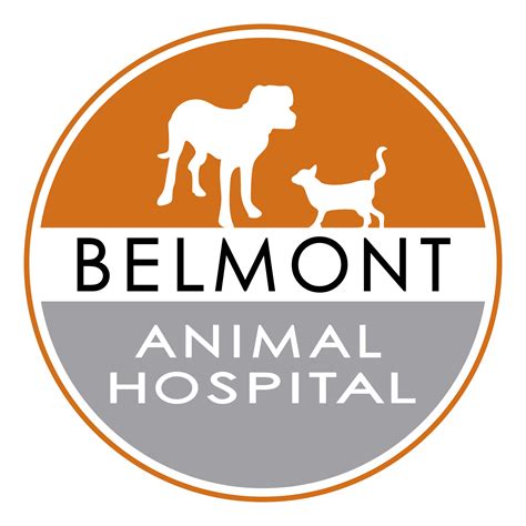 Belmont animal hospital. Things To Know About Belmont animal hospital. 