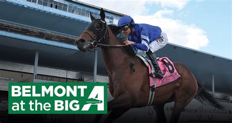 Belmont equibase entries. Oct 20, 2023 · Exacta ($1), Trifecta (.50), Super (.10), Double ($1) 8 & 9. Belmont At The Big A ALLOWANCE. Purse $80,000. One Mile. For Three Year Olds And Upward Foaled In New York State And Approved By The New York State-Bred Registry Which Have Never Won $18,000 Other Than Maiden, Claiming Or Starter Or Which Have Never Won Two Races. 