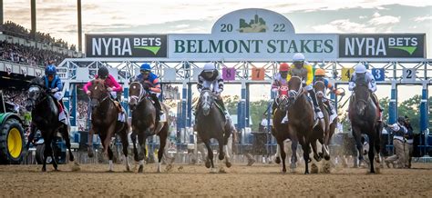 Belmont park race odds