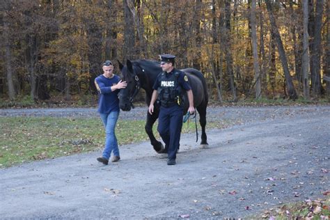 Beloved Saratoga police horse 