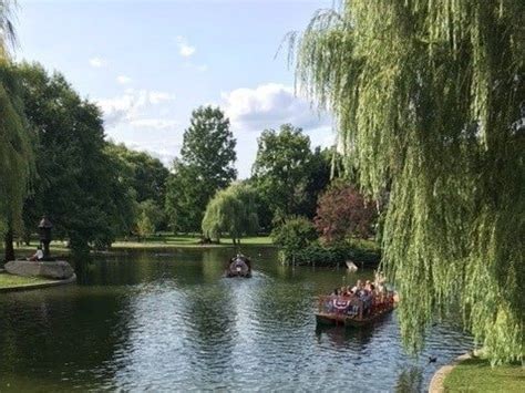 Beloved Swan Boats Are Back At Boston