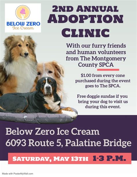 Below Zero Ice Cream hosting second annual adoption clinic