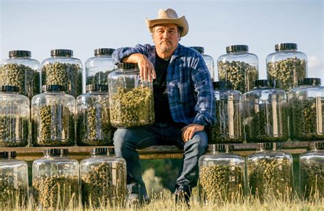 Belushi farms illinois. CASSOPOLIS — A local cannabis company has teamed up with a household name to help bring credibility – and a medicine-first approach – to the Michigan cannabis industry. Actor and cannabis farmer Jim Belushi visited Sunset Coast Provisions in Cassopolis on Tuesday for a meet-and-greet to promote a partnership between his … 