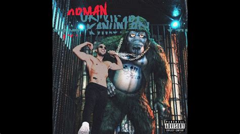 codini.rgarabwor.edu.pl. 