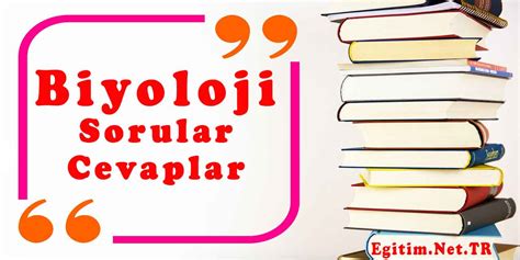 Ben Kimim Sorusunun Cevapları ve Nasıl Verileceği. 