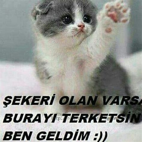 Ben geldim :) #miroğlumag #sokağınçocukları TikTok.