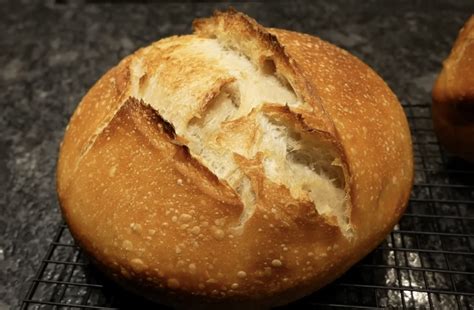 Ben starr sourdough. Part 2 of "How to make sourdough starter with ANY flour" is out! Some surprising results: while using fruit juice to increase initial acidity in the starter DOES get your starter to maturity faster,... 