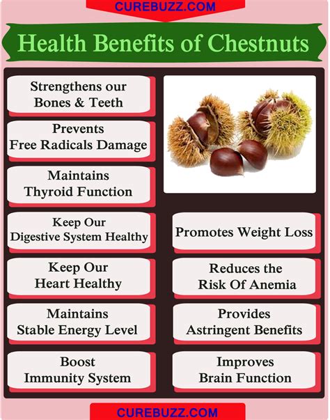 Benefit chestnut. Health Benefits of Chestnuts. Unlike most other nuts, chestnuts contain little protein or fat and chiefly provide complex carbs. That doesn't mean … 