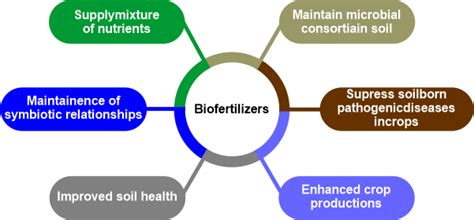 Benefits - Biofertilizers Plant Biotechnology - Biocyclopedia