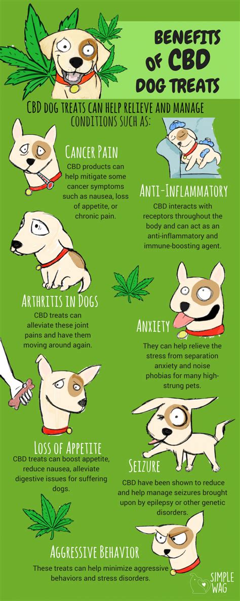Benefits Of Dogs Taking Cbd