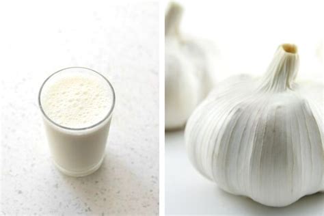 Benefits of Garlic Milk: Natural Antibiotic at Home!