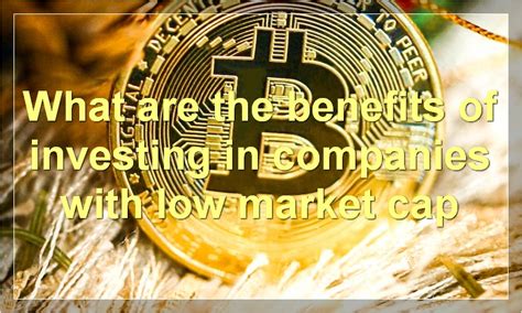 Benefits of Investing in a Privacy ETF