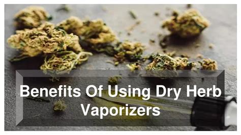 Benefits of Using a Dry Herb Vaporizer - Boundless Technology