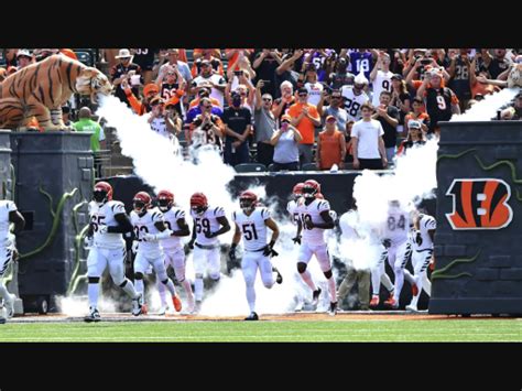 Bengals jungle noise. (05-11-2015, 08:26 PM) ShowMeUrTDs Wrote: May we vote to change the name of Bengals Banter for the main Bengals fan forum? It just doesn't have the same ring to it as Jungle Noise, in my opinion. It seems like that's the plan. Bengalholic just wants to make sure he won't get in trouble for using it. 