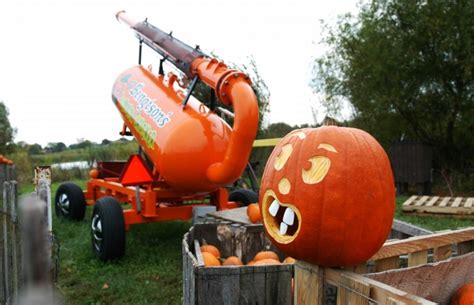 BENGTSON'S PUMPKIN FARM Coupons & Promo Codes for Jan 2023. Today's best BENGTSON'S PUMPKIN FARM Coupon Code: BENGTSON'S PUMPKIN FARM Today Best Deals & Sales. Best Christmas sales 2022: Shop the Best Holiday Deals Online. Collection . Service. Beauty & Fitness. Career & Education. Food & Drink.. 