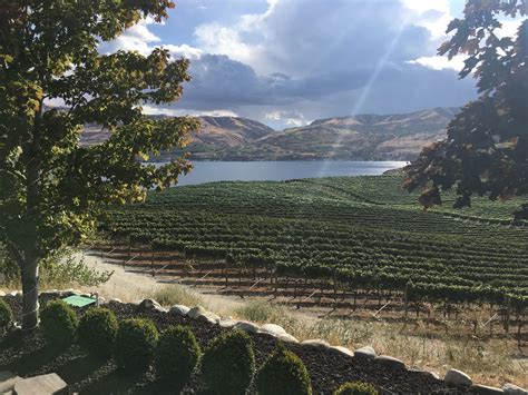 Benson vineyards. Benson Vineyards Estate Winery is a Mediterranean-inspired estate winery overlooking Lake Chelan. 