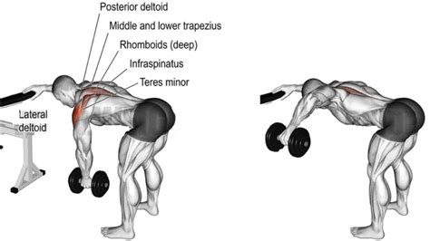 Bent over lateral raise. All you need is a set of dumbbells and enough space to raise your arms in a "T" formation out to each side. Stand tall, a dumbbell in each hand. Arms are at your sides, palms facing in. Position your feet roughly hip-distance apart. Check your posture—roll your shoulders back, engage your core, and look straight ahead. 
