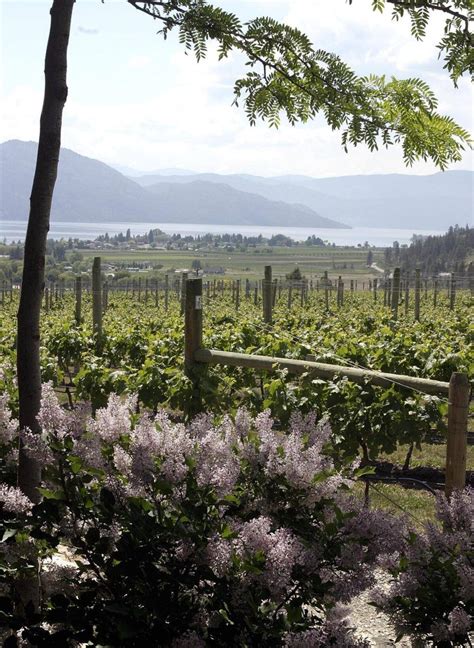 Beppi Crosariol&rsquo;s Profile | Freelance Journalist - Muck Rack