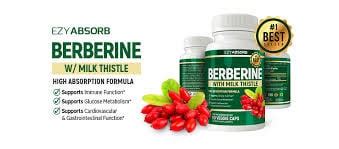 Berberine reddit. That being said, some of the ivy-league biochemists who study aging/AMPK only take berberine/metformin on days they don’t lift weights . I would definitely listen to them over some guy who is most likely on “enhanced” supplements where the AMPK activity of berberine probably doesn’t matter. JayFBuck • 10 mo. ago. [deleted] • 1 yr. ago. 