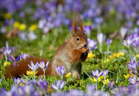 Bereiten Sie sich auf den Frühling mit April Perücken vor