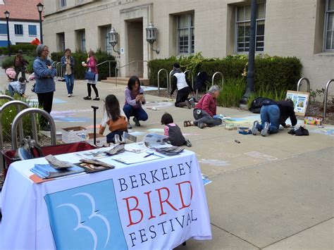 Berkeley Bird Festival