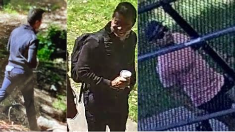 Berkeley campus police looking for help in identifying sexual battery suspect