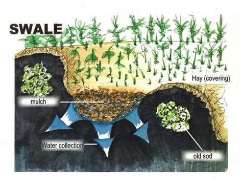 Berms and Swales for Water Rentention