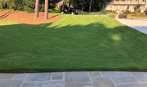 Bermuda grass lawn. - Bermuda grass is one of the easiest grasses to grow - Ideal for summer seasons due to its heat and drought tolerance - Soil should be sandy and … 
