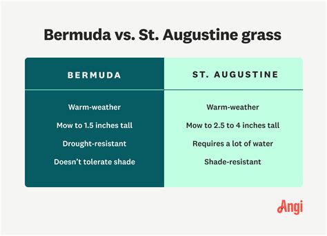Bermuda vs st augustine. Oct 25, 2023 · Bermuda Grass vs. St. Augustine Grass: How to Grow Both Bermuda and St. Augustine grass can be easy to grow if you have the right conditions. Bermuda grass requires full sun and average water, as well as mowing once it reaches 1.5 inches tall. St. Augustine grass can grow well in the sun or partial shade, but it does require a lot of water. 
