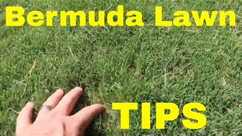 Bermudagrass Yearly Maintenance Program - Home