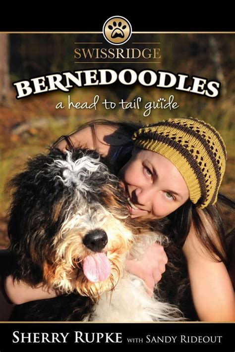 Bernedoodles a head to tail guide. - Decision and risk management professional drmp certification study guide.