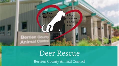 Berrien county animal control. Give a little, help a lot. ️ Thank you for the love and support. 