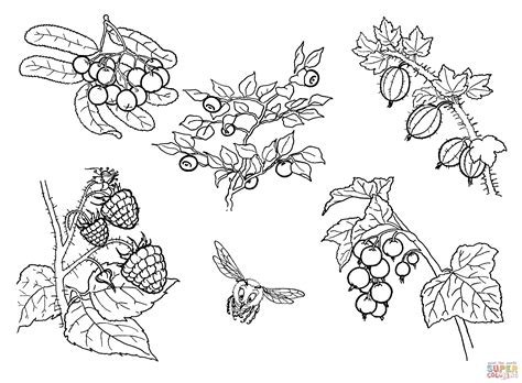 Ferdinand Coloring Pages