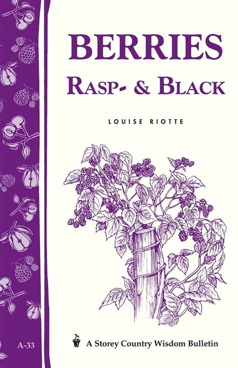 Full Download Berries Rasp  Black Storey Country Wisdom Bulletin A33 By Louise Riotte