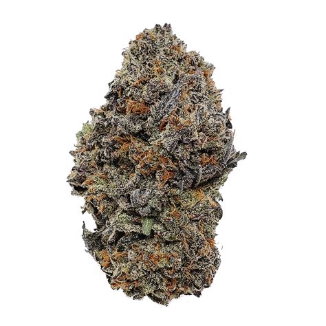Berry gang strain. THC: 19% - 22%, CBD: 2 %. Frosty is an indica dominant hybrid strain with a 65:35 indica/sativa ratio. The strain is quite popular amongst new and experienced cannabis users alike. Additionally, it has a 22% THC content with 2.4% CBD levels. The strain produces average buds that are not extraordinary to look at. 