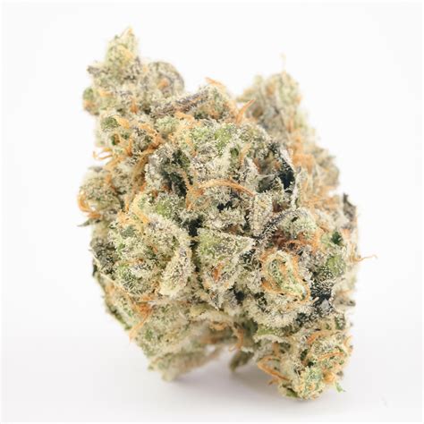 Berry octane strain. Dry mouth. . Paranoid. . Anxiety. . Pain. Papaya is an indica-dominant hybrid cannabis strain that is known for producing a mental calmness, though many consumers also find that this strain makes ... 
