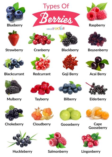 Berry species - Google Search