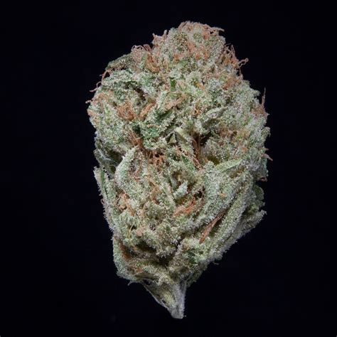 Berry sunset strain. Member Berry is a hybrid marijuana strain made by crossing Skunkberry with Mandarin Sunset. Member Berry produces a long-lasting high with happy and euphoric effects. This strain features an aroma ... 